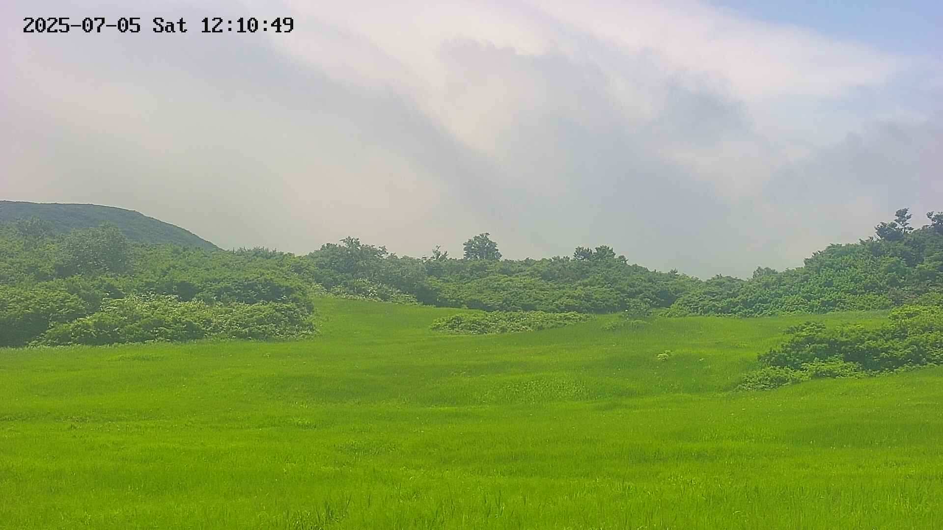area3-20250705121050.jpg