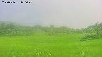 area3-20250706050049.jpg