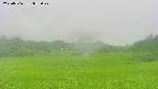 area3-20250706053047.jpg