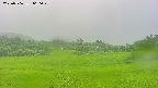 area3-20250706060050.jpg