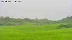 area3-20250706065046.jpg