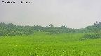 area3-20250706073046.jpg