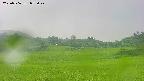 area3-20250706075047.jpg