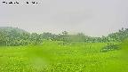 area3-20250706080048.jpg
