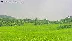 area3-20250706081049.jpg