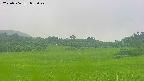area3-20250706082048.jpg