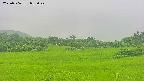 area3-20250706085048.jpg