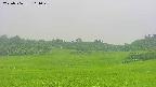 area3-20250706101049.jpg