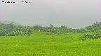 area3-20250706110049.jpg
