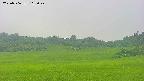 area3-20250706115048.jpg