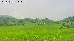 area3-20250706120107.jpg
