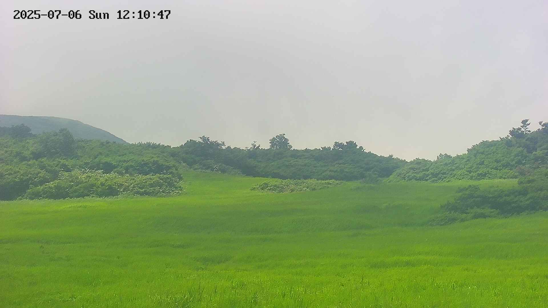 area3-20250706121047.jpg