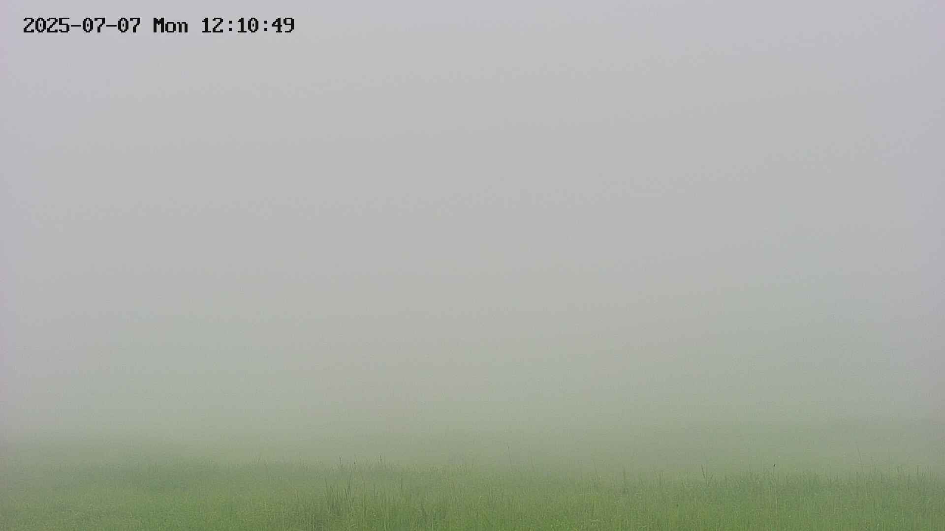 area3-20250707121049.jpg