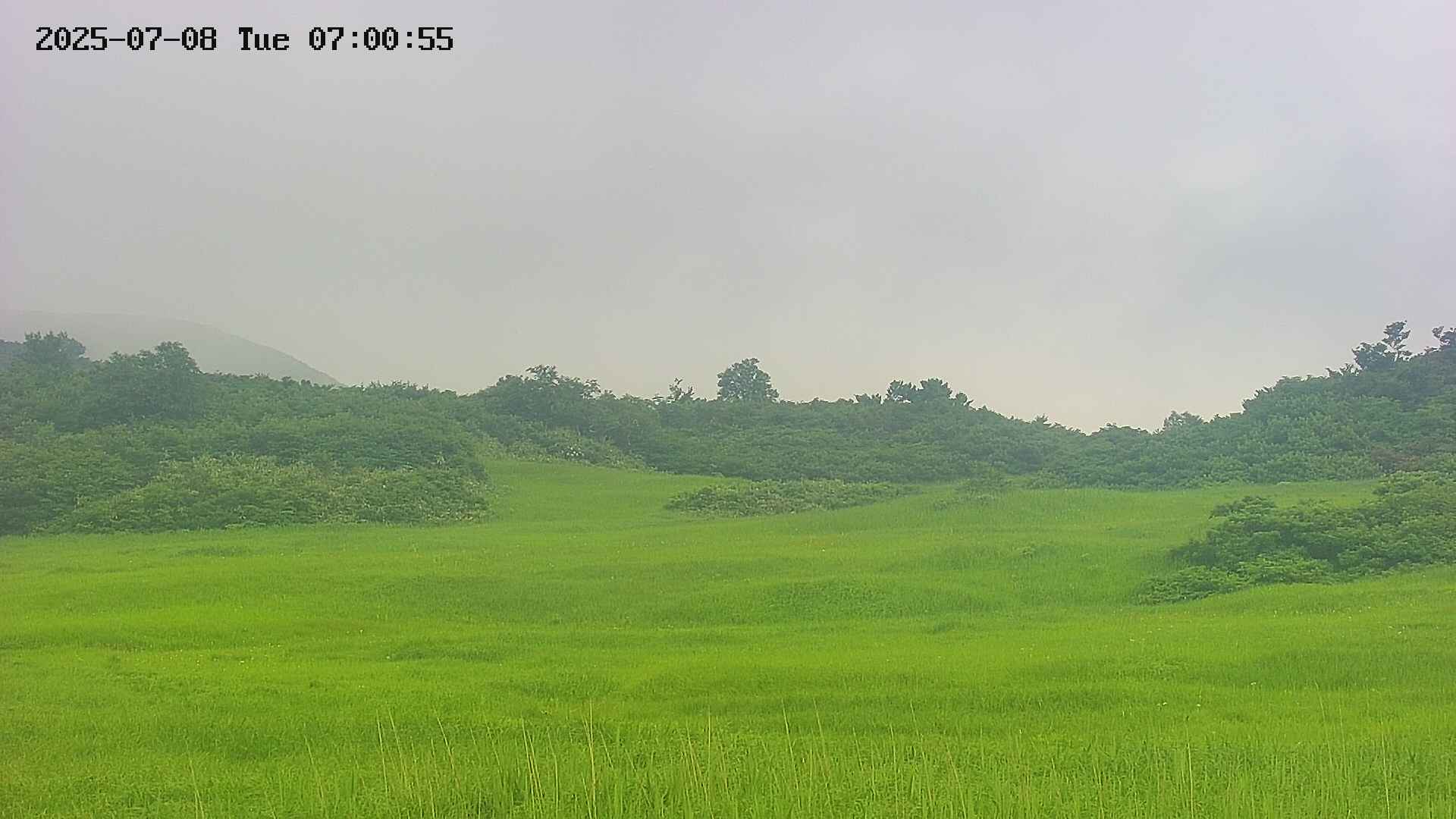 area3-20250708070058.jpg