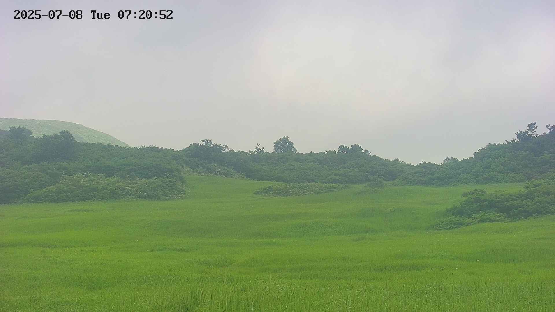 area3-20250708072054.jpg