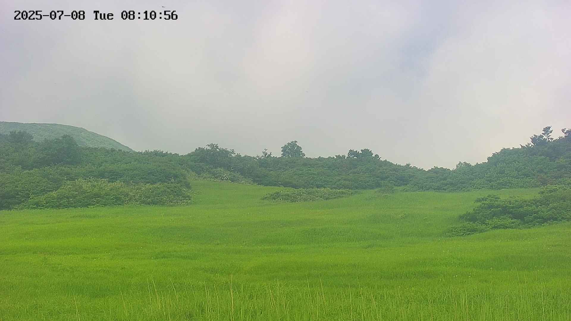 area3-20250708081058.jpg