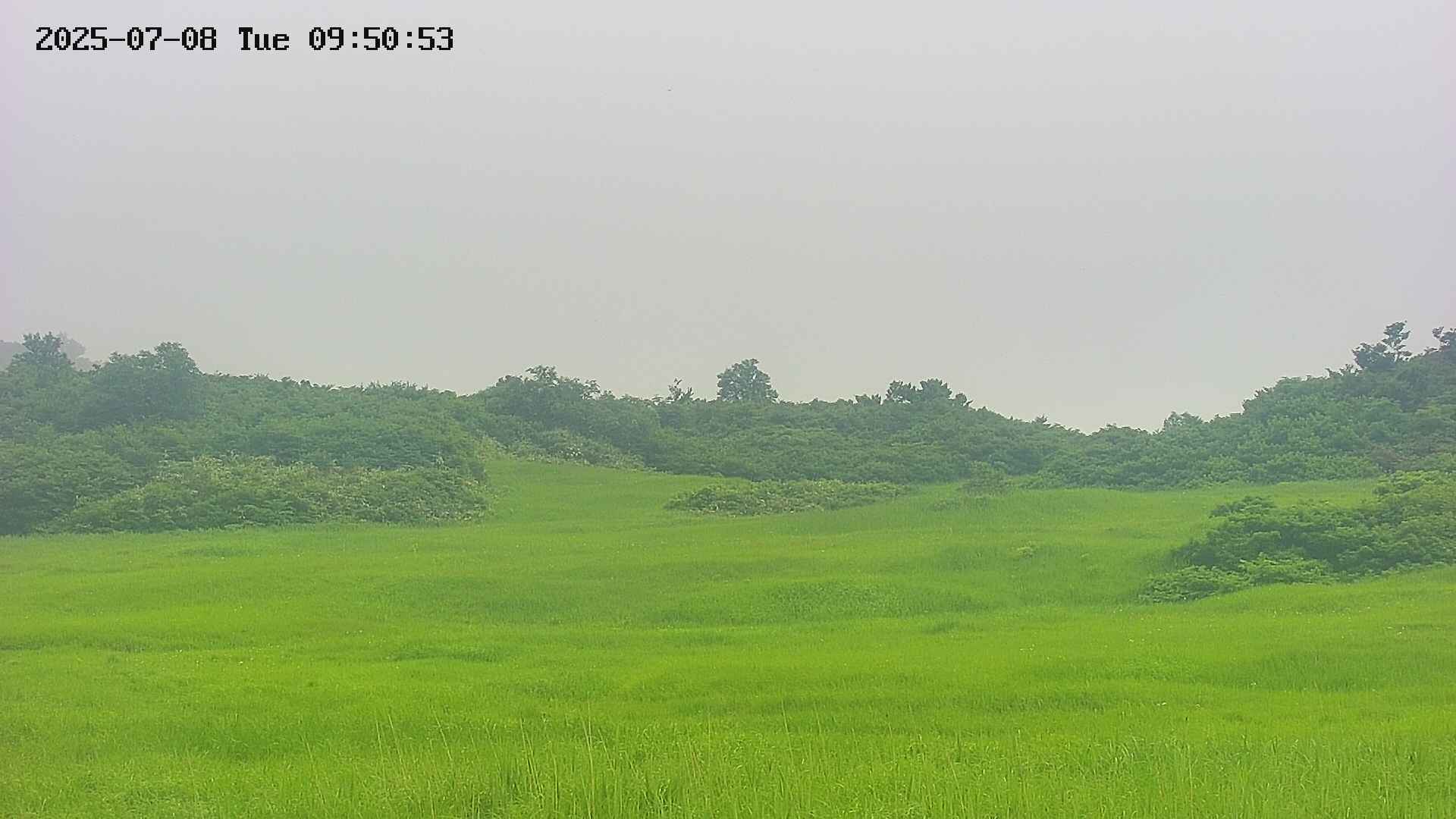 area3-20250708095054.jpg