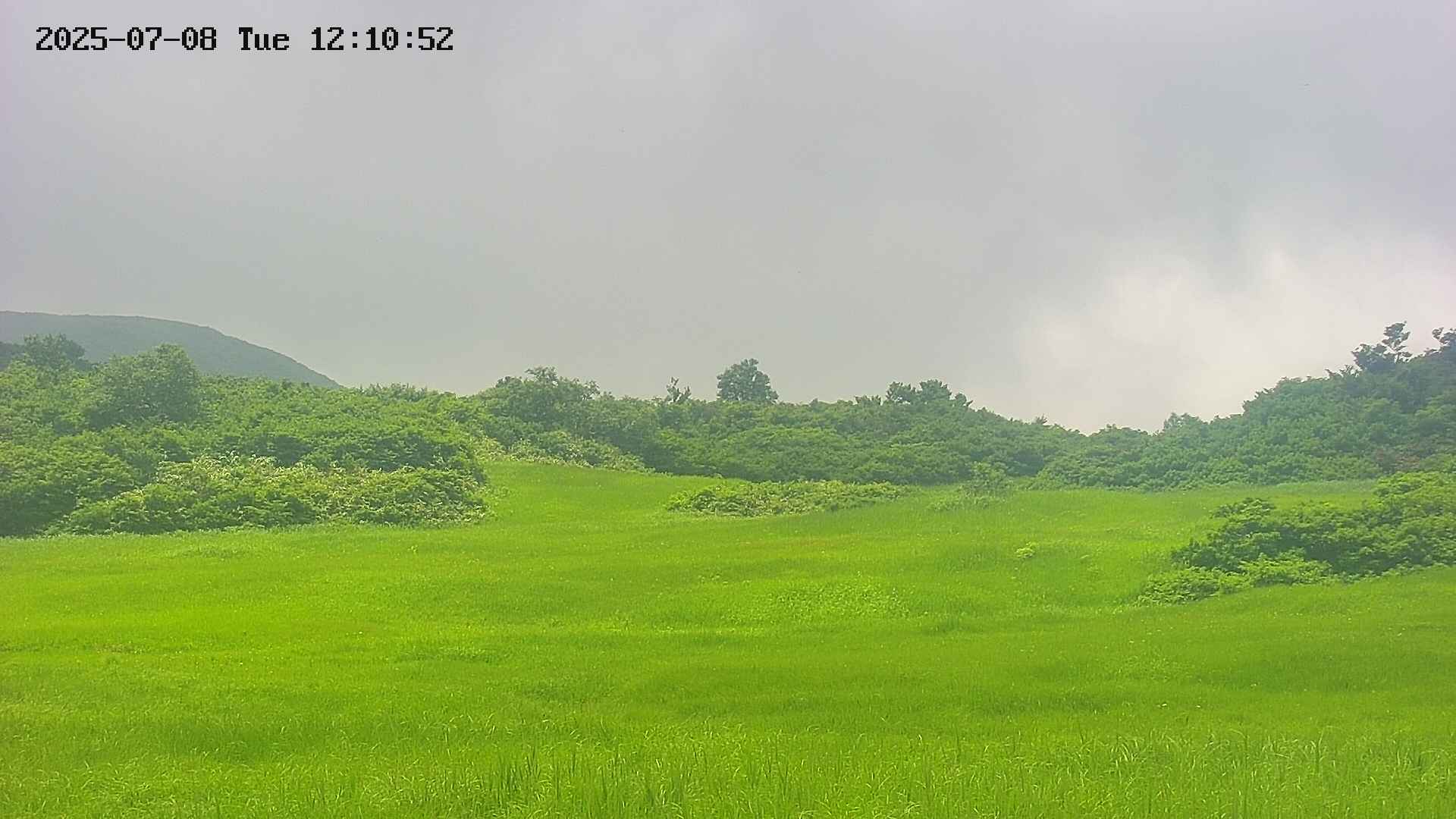 area3-20250708121057.jpg