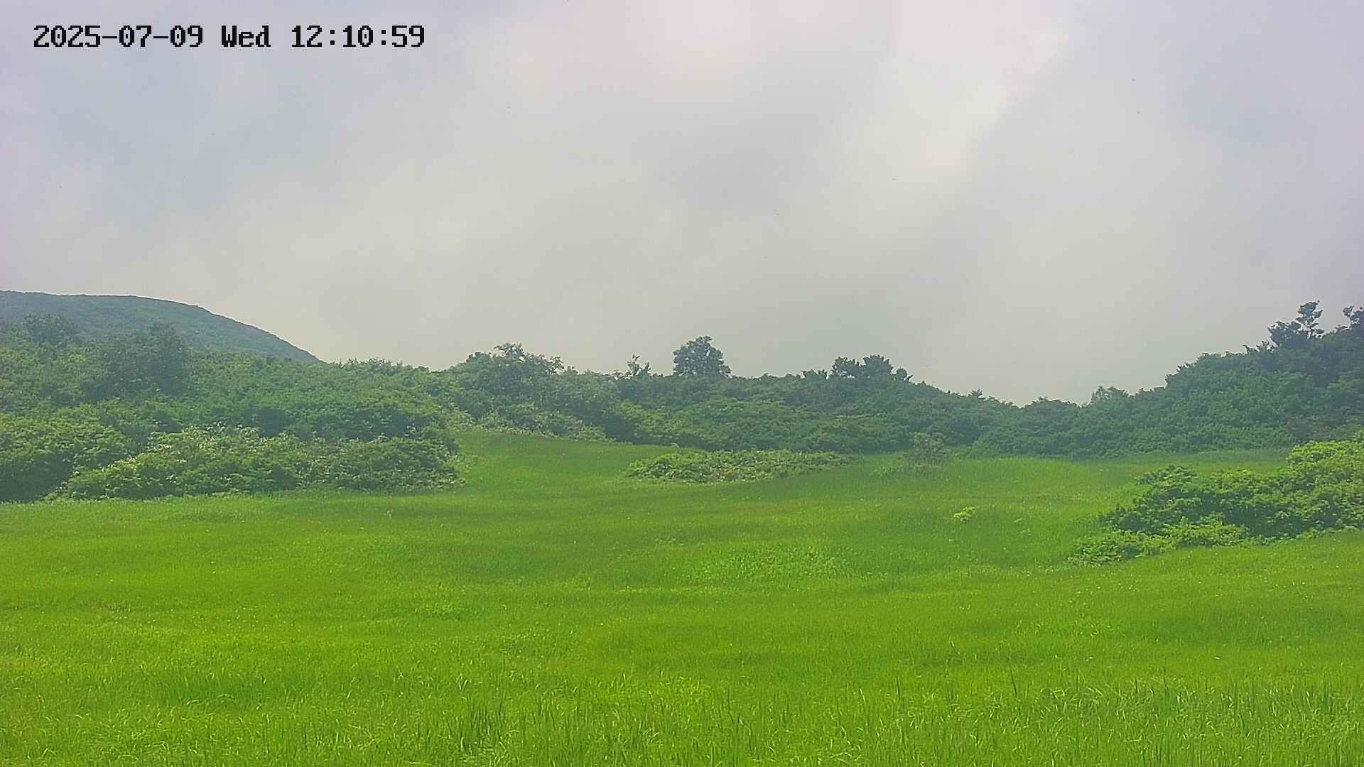 area3-20250709121104.jpg