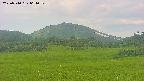 area3-20250710064053.jpg