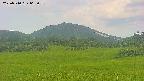 area3-20250710065058.jpg