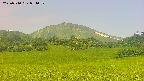 area3-20250710084101.jpg
