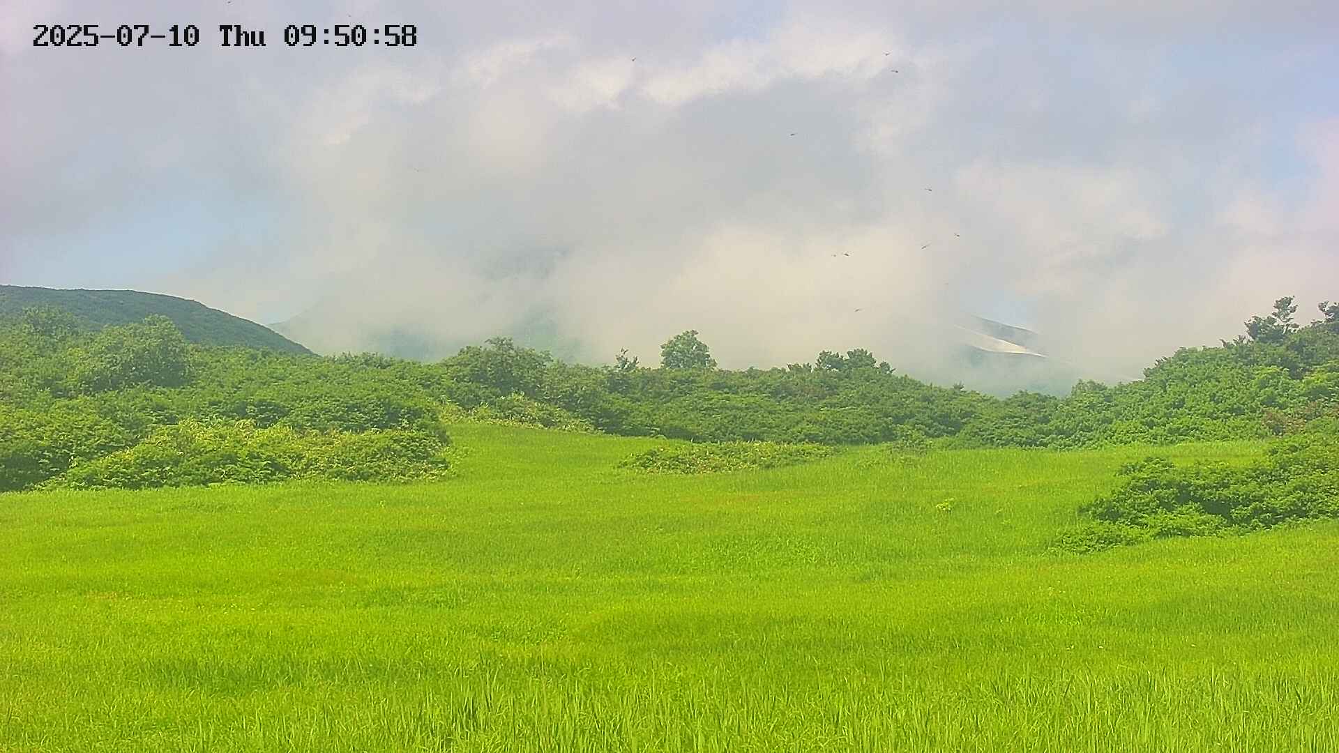 area3-20250710095105.jpg