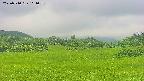 area3-20250710101057.jpg