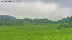 area3-20250710102053.jpg