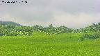 area3-20250710110059.jpg