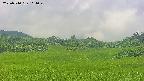 area3-20250710111051.jpg