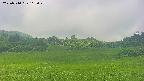 area3-20250710112051.jpg