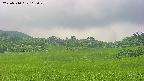 area3-20250710113051.jpg
