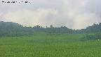 area3-20250710114050.jpg