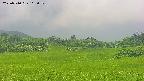 area3-20250710115051.jpg