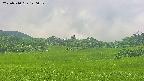area3-20250710120052.jpg
