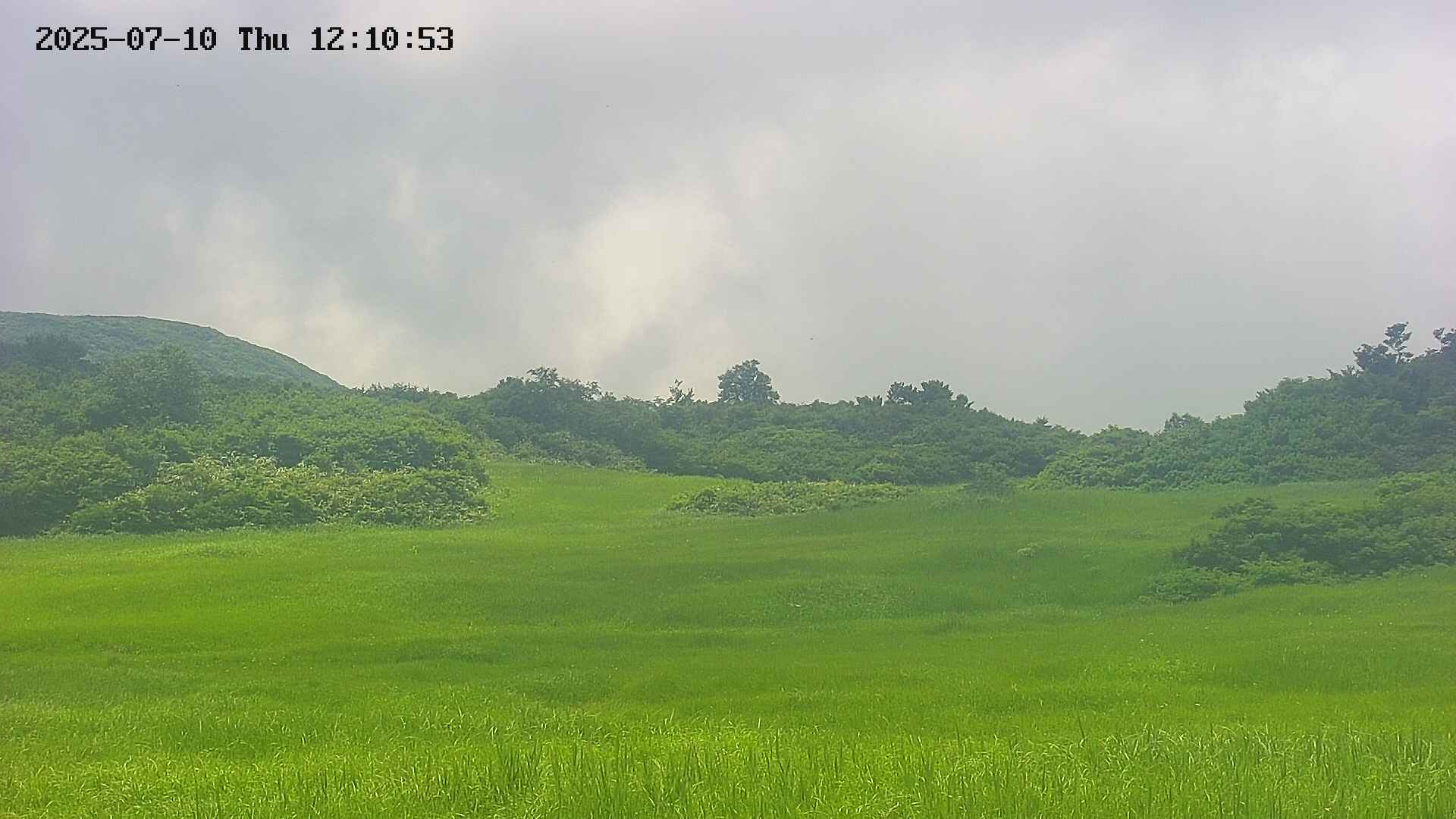 area3-20250710121054.jpg