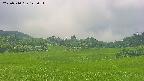 area3-20250710123052.jpg