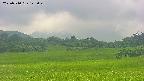 area3-20250710125048.jpg