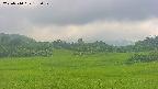 area3-20250710132051.jpg