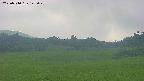 area3-20250710142051.jpg