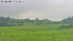 area3-20250710143049.jpg