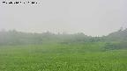 area3-20250710161049.jpg
