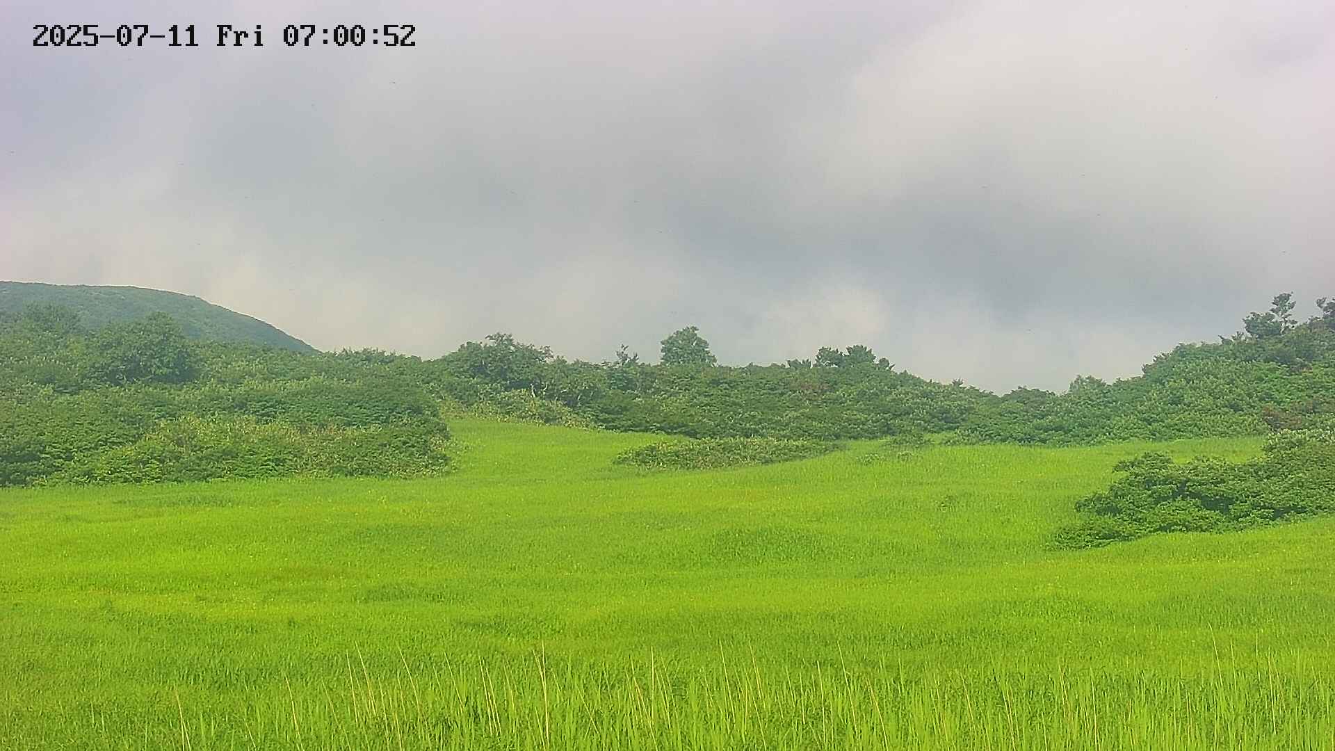 area3-20250711070055.jpg