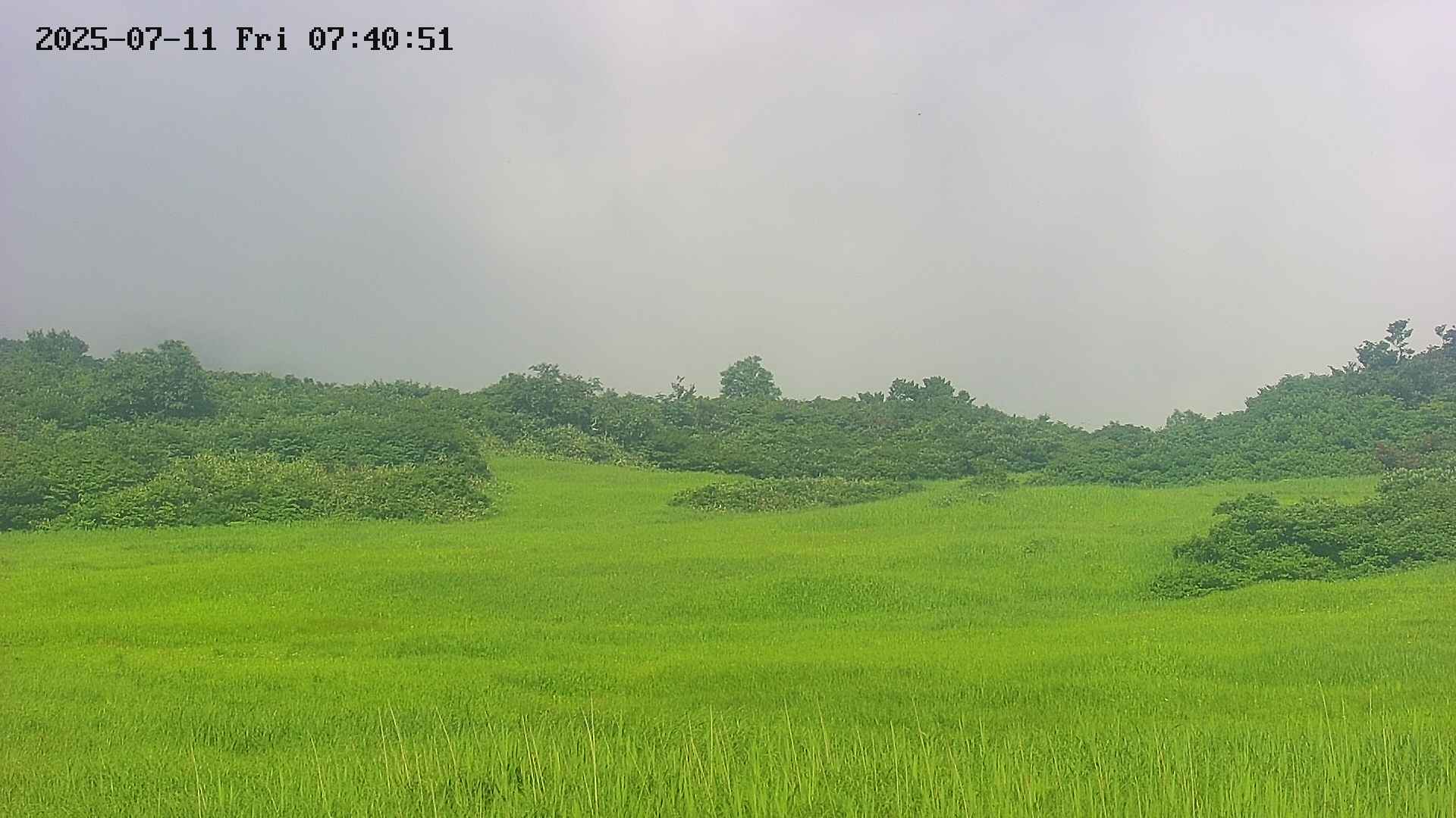 area3-20250711074054.jpg