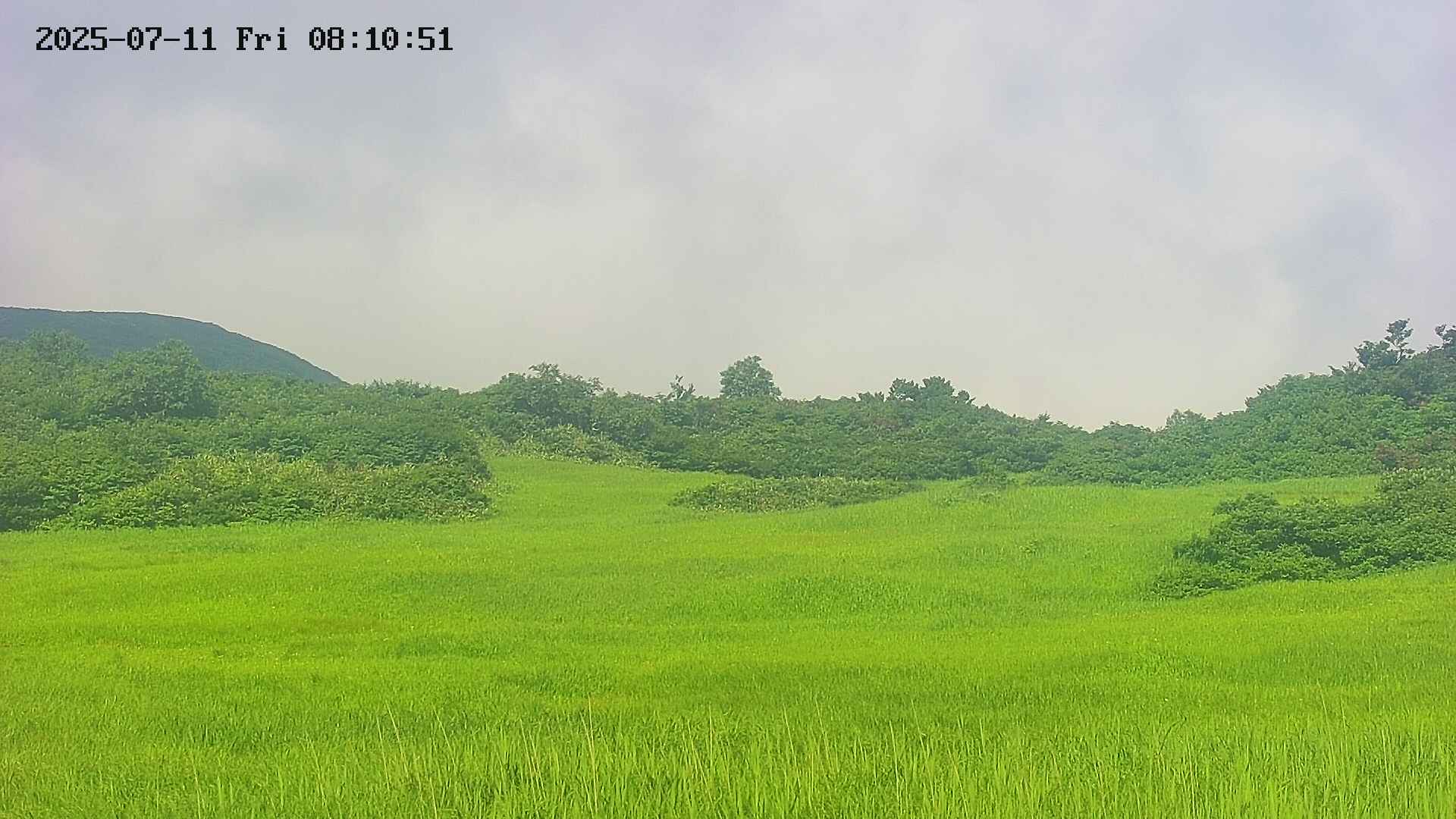 area3-20250711081053.jpg