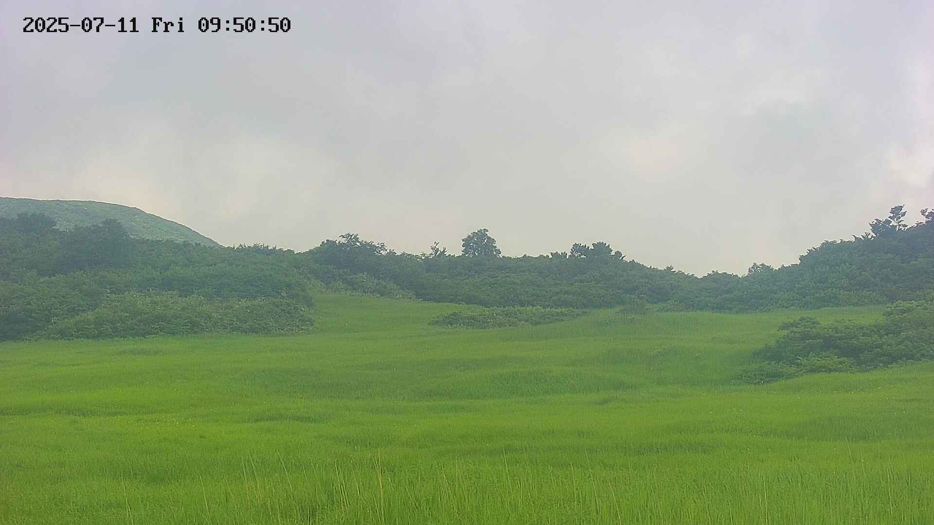 area3-20250711095051.jpg