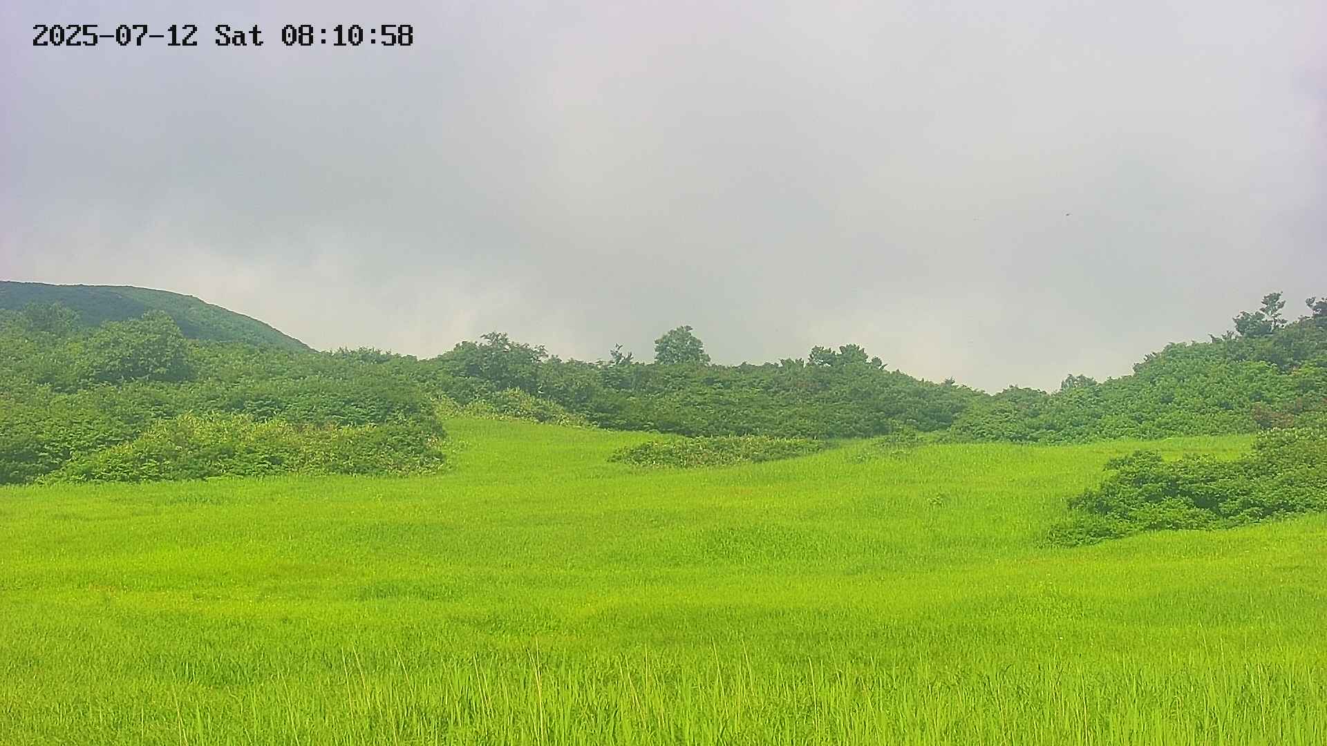 area3-20250712081100.jpg