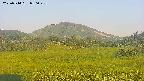 area3-20250714050050.jpg