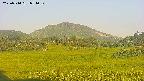 area3-20250714051052.jpg